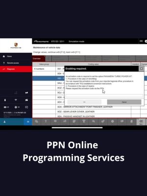 PPN Online Programming Services